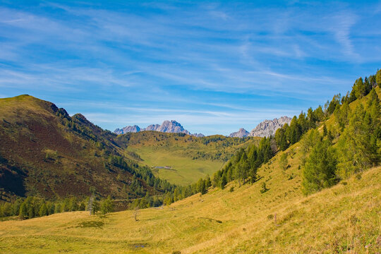 The Laghi di Festons alpine meadow on Sella Festons near Sauris di Sopra, Udine Province, Friuli-Venezia Giulia, north east Italy. Used as a summer pasture for dairy cows
