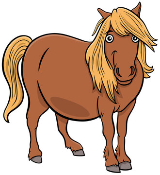 cartoon shetland pony farm animal character