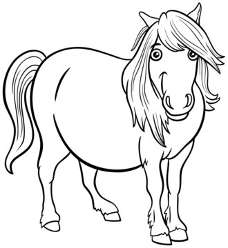 cartoon shetland pony animal character coloring book page