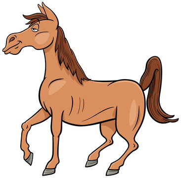 funny cartoon horse farm animal character