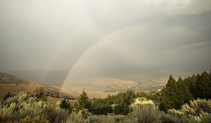 Salmon Valley Rainbow