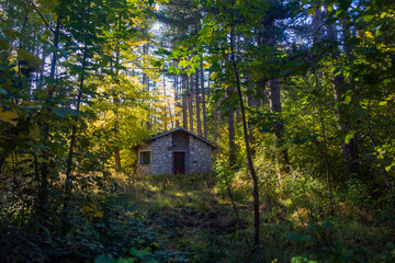 House in the woods in Abruzzo in autumn. Foliage and colors of trees.