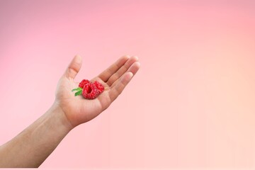 Yound female hand hold ripe red raspberry Female hand with crimson manicure. Crimson nail design.