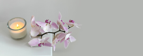 Pink phalaenopsis orchid flower with burning candle in gray interior. Selective soft focus....