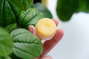 Natural lip balms made of beeswax on a background of green leaves. Organic concept. - obrazy, fototapety, plakaty