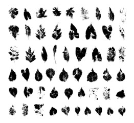 Fototapeta na wymiar Collection of traced leaves. Black prints of foliage. Vector design elements isolated on a white background.