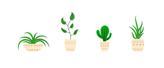 Fototapeta na wymiar Home Plants Set Isolated on White Background, Icons, Plants in Pots.