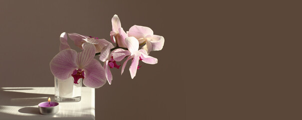 Pink phalaenopsis orchid flower with burning candle in beige interior. Selective soft focus. Minimalist still life. Light and shadow nature horizontal long background with copy space.