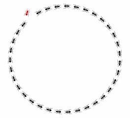 Ant trail A line of worker ants marching in search of food Vector illustration horizontal banner Ant road column Teamwork Hard work metaphor Black insect silhouettes traveling Isolated