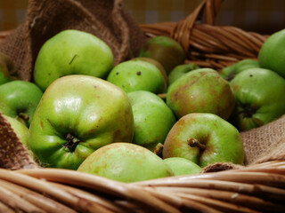Basket of fresh green baking apples close up shot 