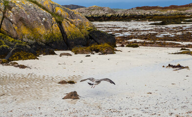 Shore at western point of the Isle of Mull, Scotland