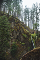 Wahclella Falls In Hood River, Oregon 