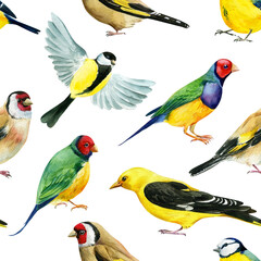 Spring birds watercolor illustration seamless pattern