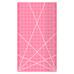 Vector cartoon pink checkered rectangular ruler.