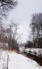 Winter landscape. Snow-covered river bank with tall trees, shrubs and dry grass.Color image. Vertical frame.