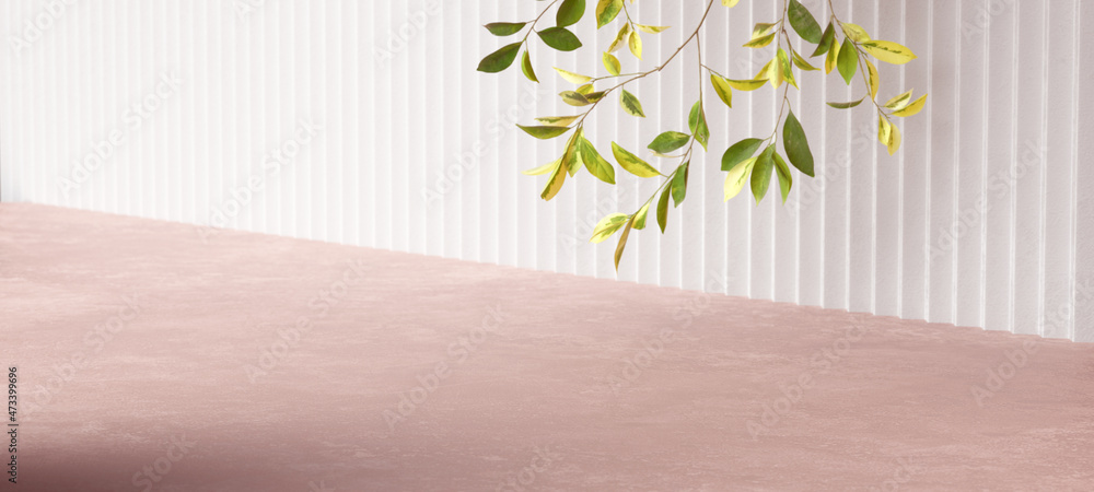 Poster minimalist product display 3d rendering background, white wall and tree branch in empty room, diagon