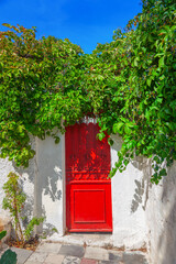 Old door