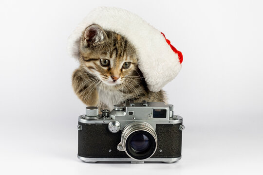 Little cute kitten with Santa Claus hat and vintage photo camera on white background