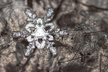 snowflake lying on a wooden bench