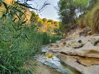 Vega Baja del Segura - Pilar de la Horadada - Paraje Natural Río Seco