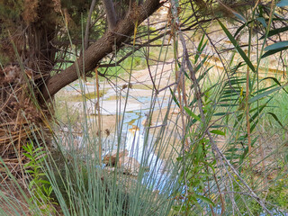 Vega Baja del Segura - Pilar de la Horadada - Paraje Natural Río Seco