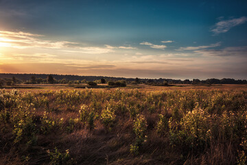 Sunrise meadow scenery with dramatic gradient blue orange morning sky cloudscape and distant forest on horizon 