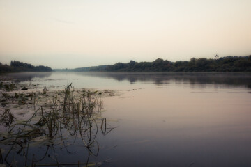 Morning scenery with a calm river and fog on the water and trees on the bank at sunrise
