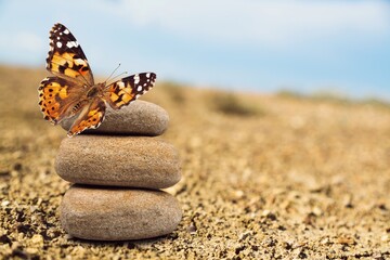 Spa stones on the beach and butterfly on background. Spa concept.