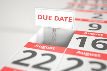 DUE DATE sign on August 15 in a calendar, 3d rendering