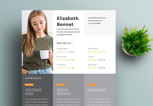 Grey and Orange Accent Resume Layout