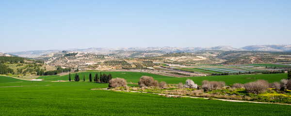 The valley of Elah and the Judea mountains in the back - obrazy, fototapety, plakaty