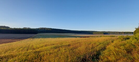 landscape with river