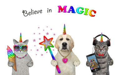 Fototapeta premium Unicorns eat sweets and listen to music. Believe in magic. White background. Isolated.