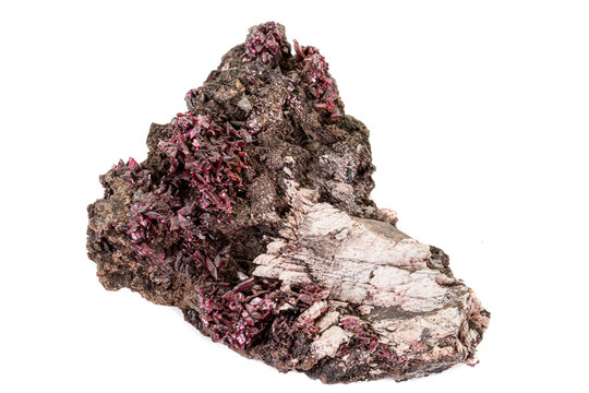 Macro stone Erythrite mineral on white background