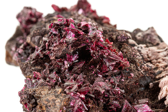 Macro stone Erythrite mineral on white background
