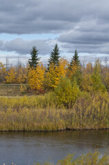 Pylypow Wetlands on a Cloudy Autumn Day