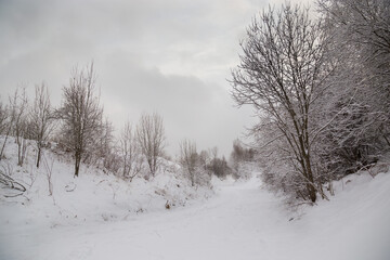 A snow-covered path in a winter forest against a gloomy winter sky.