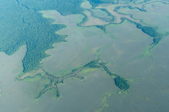 Aerial view of an area of the Marajo island, Para state, Brazil, covered by extensive natural grasslands surrounded by rainforest.