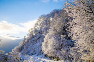 富山県中新川郡上市町と立山町にある大辻山を登山する風景 A view of climbing Mt. Otsuji in Kamiichi-cho and Tateyama-cho, Nakashinagawa-gun, Toyama Prefecture.