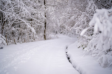 富山県中新川郡上市町と立山町にある大辻山を登山する風景 A view of climbing Mt. Otsuji in Kamiichi-cho and Tateyama-cho, Nakashinagawa-gun, Toyama Prefecture.