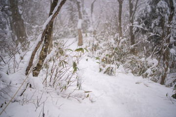 富山県中新川郡上市町と立山町にある大辻山を登山する風景 A view of climbing Mt. Otsuji in Kamiichi-cho and Tateyama-cho, Nakashinagawa-gun, Toyama Prefecture.