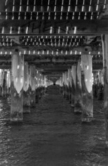 under the sea bridge