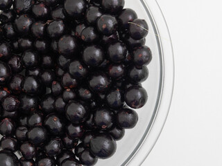 Berry Jabuticaba in clear glass bowl on white background. Jaboticaba named Myrciaria cauliflora is a native tree of Brazil Atlantic Forest.