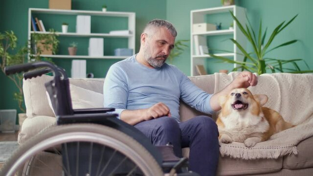 Sad Elderly Man with Disabilities Stroking His Dog While Sitting on the Couch, Feeling Lonely, Depressed. Aging, Drama, Canistherapy, Best Friend, Consolation, Help, Pet. Psychological Health.