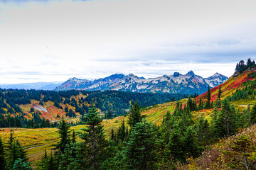 Mount Rainier Washington - autumn/fall in the mountains