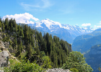 Fototapeta na wymiar Alpenpanorama Schynige Platte, Schweiz