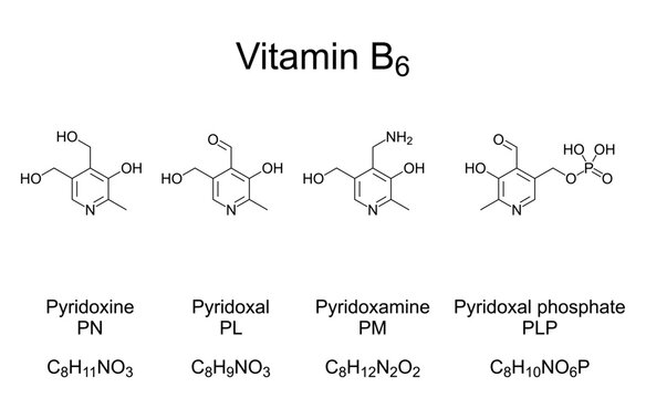 Vitamin B6, chemical formulas and structures. The four most important vitamers of vitamin B6. Pyridoxine, Pyridoxal and Pyridoxamine, and the active form pyridoxal phosphate, serving as a coenzyme.