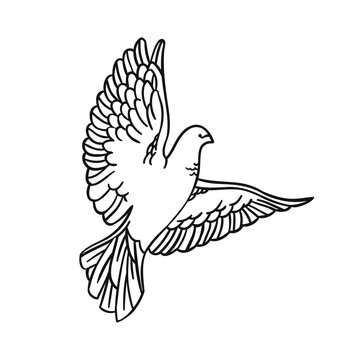 Dove in a linear style on a white background. For printing, laser cutting, website and logo design. Vector illustration.
