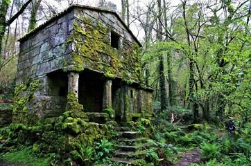 Fototapeta na wymiar Casa en un bosque de Galicia