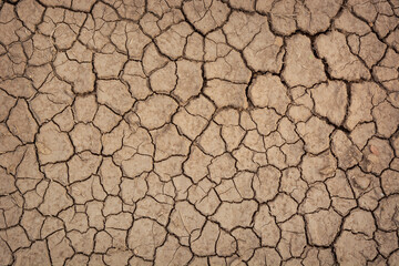 Dry mud cracked ground texture